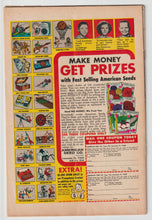 Load image into Gallery viewer, Captain America #113