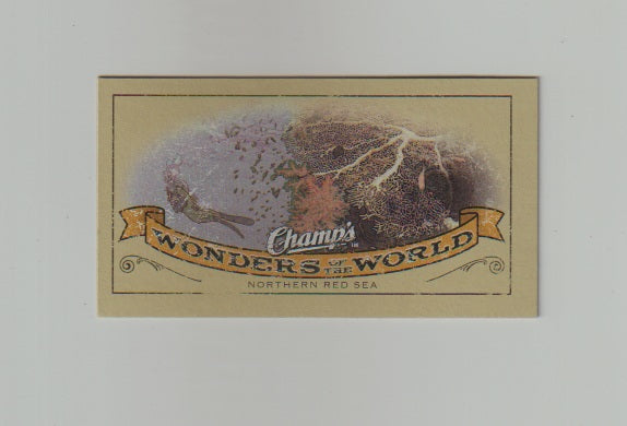 2009-10 Upper Deck Champs SP Mini #416 Northern Red Sea