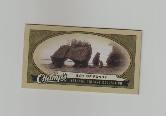 2009-10 Upper Deck Champs SP Mini #418 Bay of Fundy