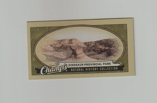 2009-10 Upper Deck Champs SP Mini #422 Dinosaur Provincial Park