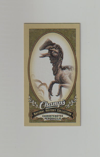 2009-10 Upper Deck Champs SP Mini #446 Chirostenotes Pergracilis