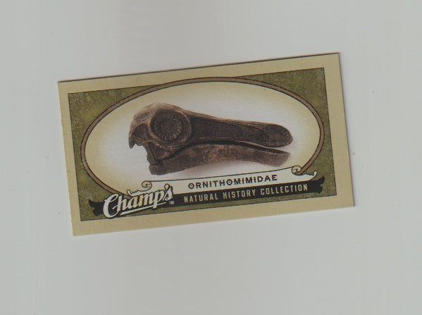 2009-10 Upper Deck Champs SP Mini #457 Ornithomimidae
