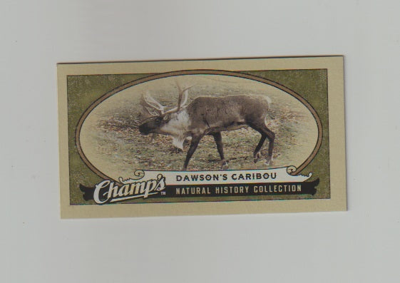 2009-10 Upper Deck Champs SP Mini #459 Dawson's Caribou
