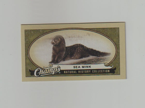 2009-10 Upper Deck Champs SP Mini #460 Sea Mink