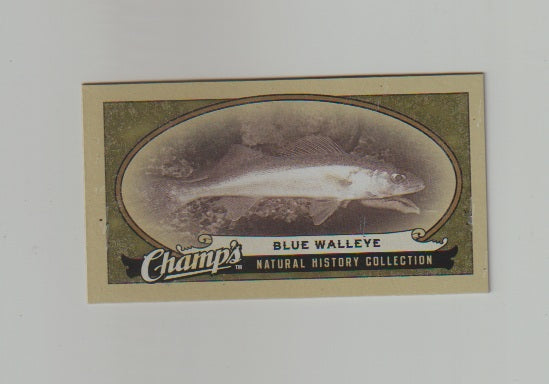 2009-10 Upper Deck Champs SP Mini #467 Blue Walleye