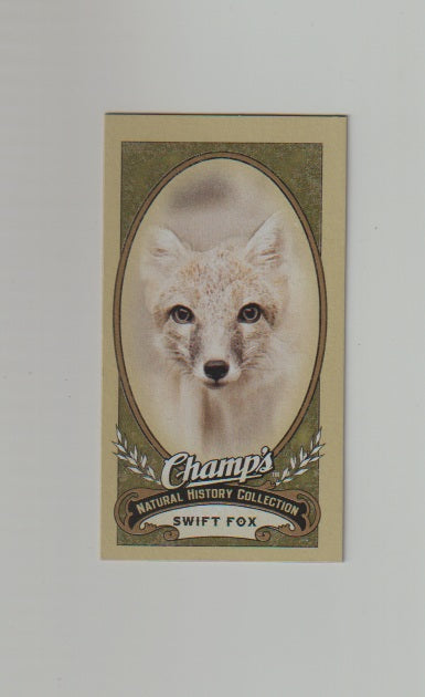 2009-10 Upper Deck Champs SP Mini #470 Swift Fox