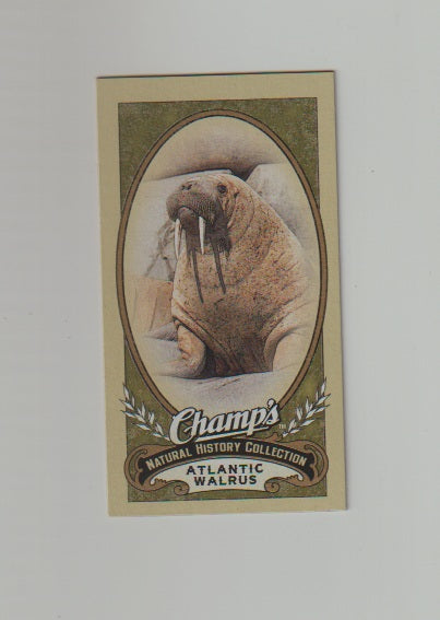 2009-10 Upper Deck Champs SP Mini #471 Atlantic Walrus