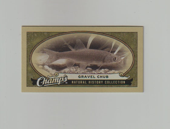 2009-10 Upper Deck Champs SP Mini #474 Gravel Chub