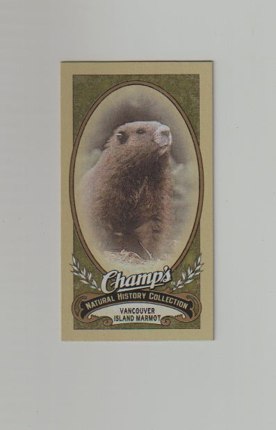 2009-10 Upper Deck Champs SP Mini #477 Vancouver Island Marmot