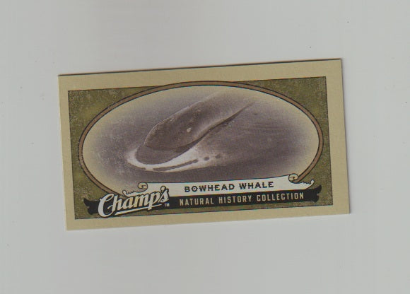 2009-10 Upper Deck Champs SP Mini #478 Bowhead Whale
