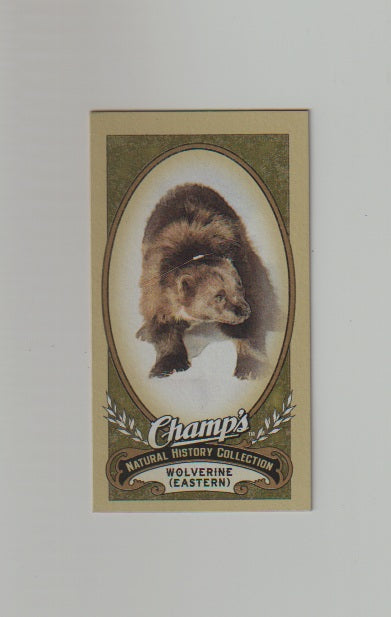 2009-10 Upper Deck Champs SP Mini #481 Wolverine