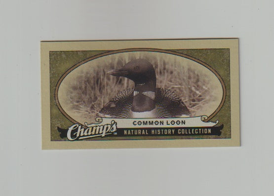 2009-10 Upper Deck Champs SP Mini #490 Common Loon