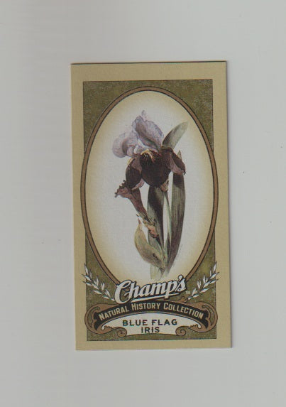 2009-10 Upper Deck Champs SP Mini #491 Blue Flag Iris
