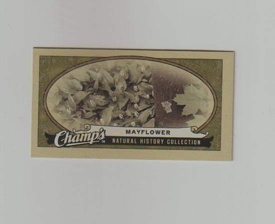 2009-10 Upper Deck Champs SP Mini #493 Mayflower