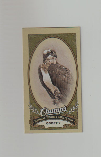 2009-10 Upper Deck Champs SP Mini #494 Osprey