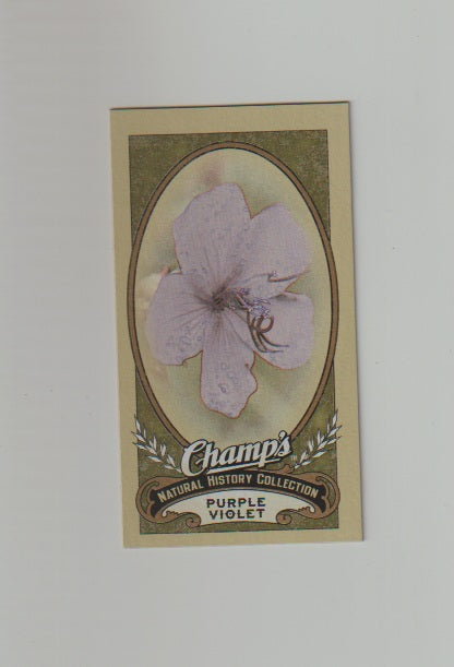 2009-10 Upper Deck Champs SP Mini #495 Purple Violet