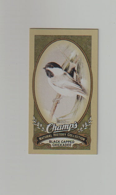 2009-10 Upper Deck Champs SP Mini #496 Black Capped Chickadee