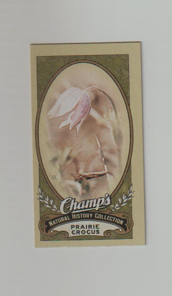 2009-10 Upper Deck Champs SP Mini #497 Prairie Crocus
