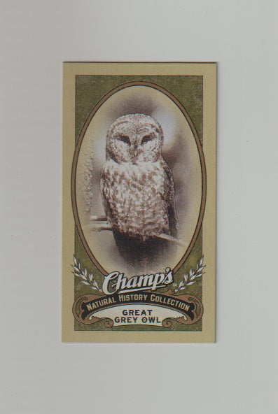2009-10 Upper Deck Champs SP Mini #498 Great Grey Owl