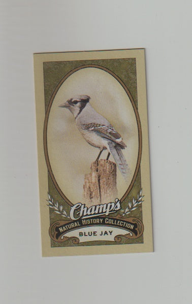 2009-10 Upper Deck Champs SP Mini #502 Blue Jay