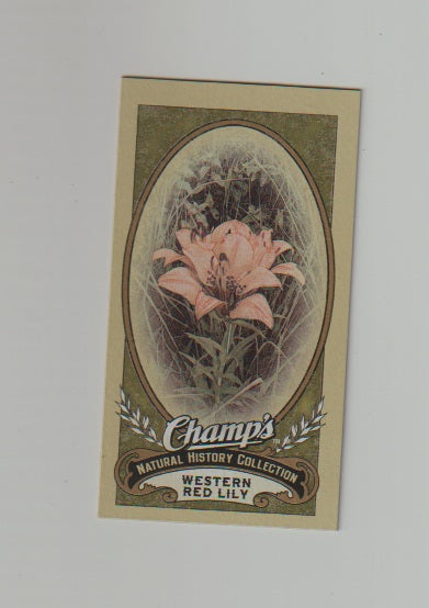 2009-10 Upper Deck Champs SP Mini #503 Western Red Lily