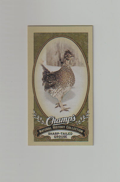 2009-10 Upper Deck Champs SP Mini #504 Sharp-Tailed Grouse