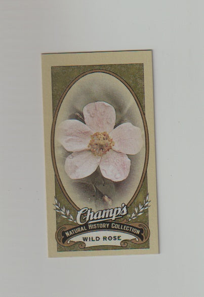 2009-10 Upper Deck Champs SP Mini #505 Wild Rose