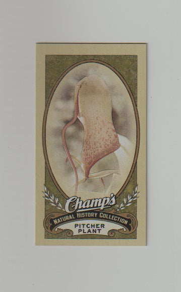 2009-10 Upper Deck Champs SP Mini #507 Pitcher Plant