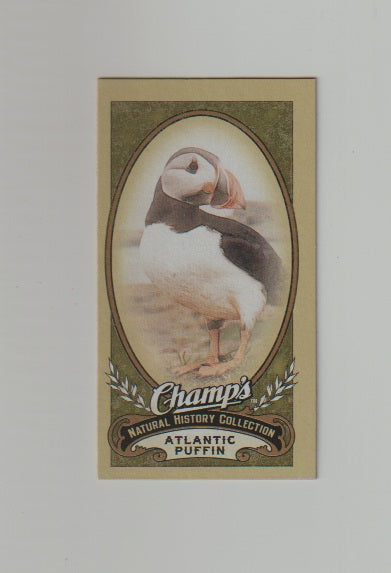 2009-10 Upper Deck Champs SP Mini #508 Atlantic Puffin