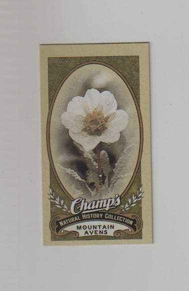 2009-10 Upper Deck Champs SP Mini #509 Mountain Avens