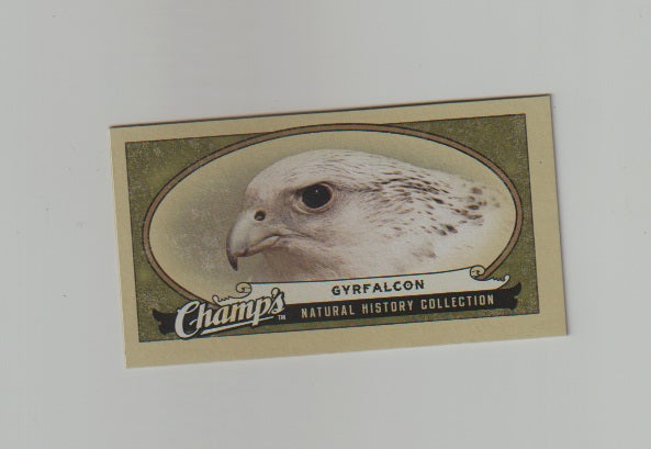 2009-10 Upper Deck Champs SP Mini #510 Gyrfalcon