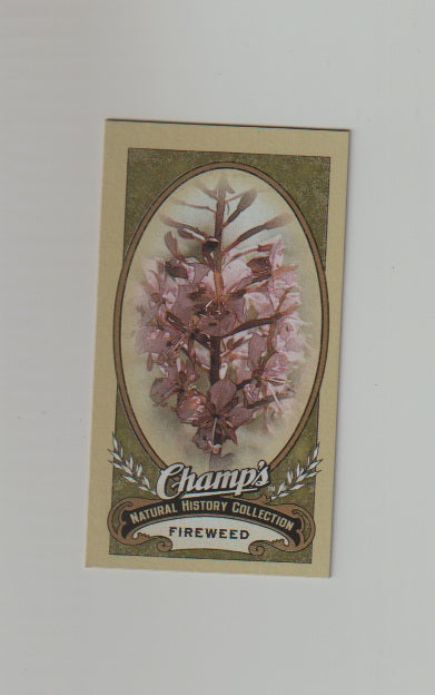 2009-10 Upper Deck Champs SP Mini #511 Fireweed