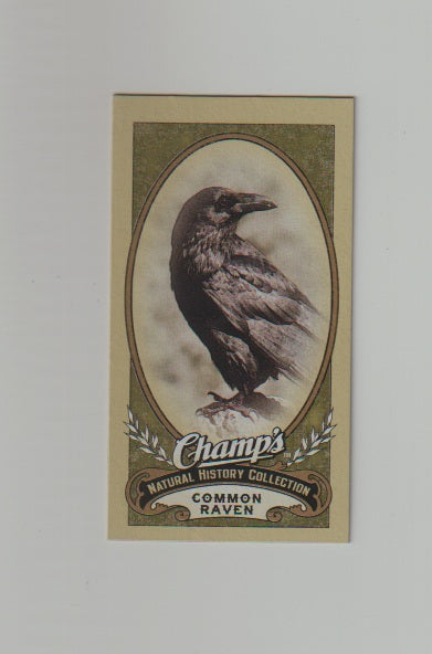 2009-10 Upper Deck Champs SP Mini #512 Common Raven
