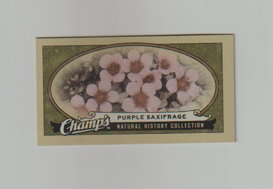 2009-10 Upper Deck Champs SP Mini #513 Purple Saxifrage