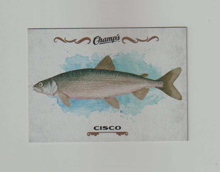 2015-16 Upper Deck Champs Fish #F-11 Cisco