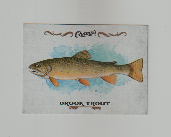 2015-16 Upper Deck Champs Fish #F-12 Brook Trout