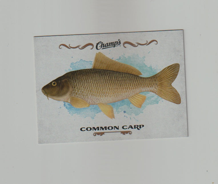 2015-16 Upper Deck Champs Fish #F-13 Common Carp