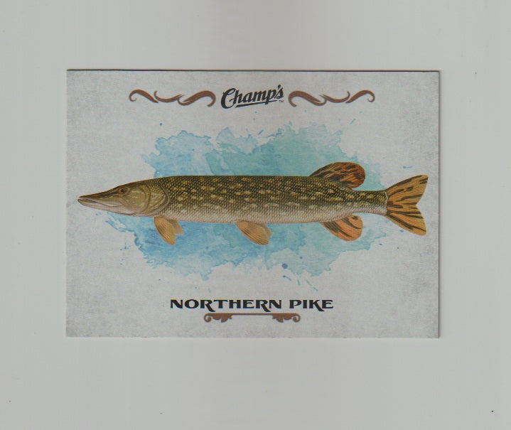 2015-16 Upper Deck Champs Fish #F-17 Northern Pike