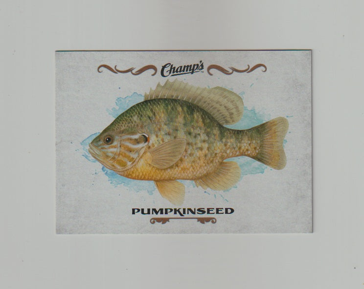 2015-16 Upper Deck Champs Fish #F-19 Pumpkinseed