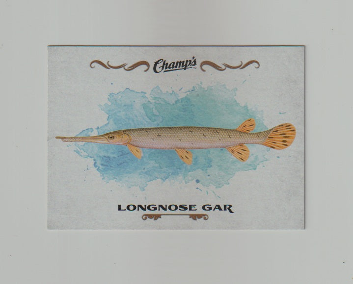 2015-16 Upper Deck Champs Fish #F-1 Longnose Gar