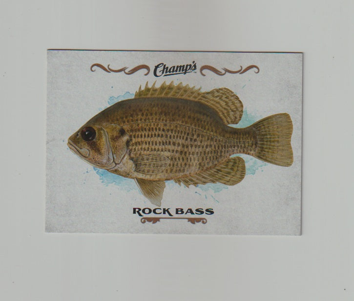 2015-16 Upper Deck Champs Fish #F-21 Rock Bass