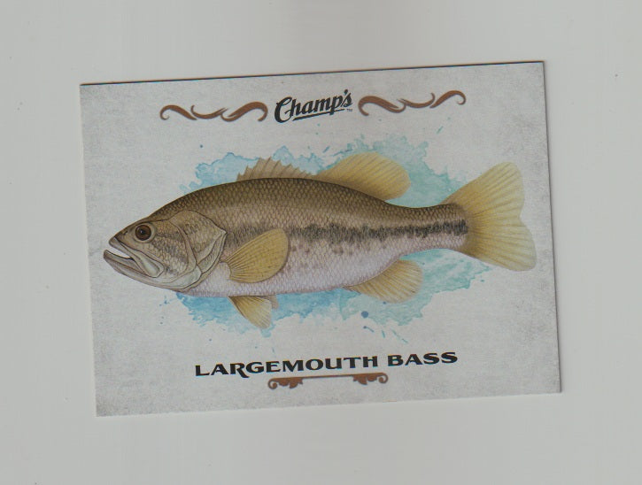 2015-16 Upper Deck Champs Fish #F-23 Largemouth Bass