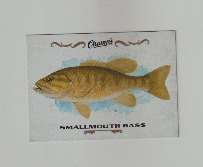 2015-16 Upper Deck Champs Fish #F-24 Smallmouth Bass