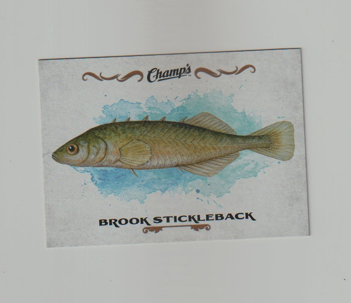 2015-16 Upper Deck Champs Fish #F-26 Brook Stickleback