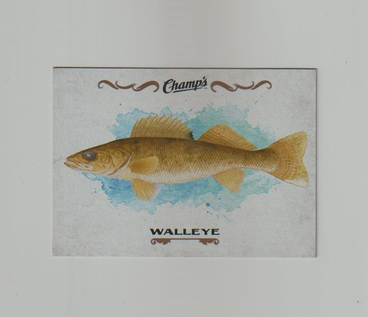 2015-16 Upper Deck Champs Fish #F-28 Walleye