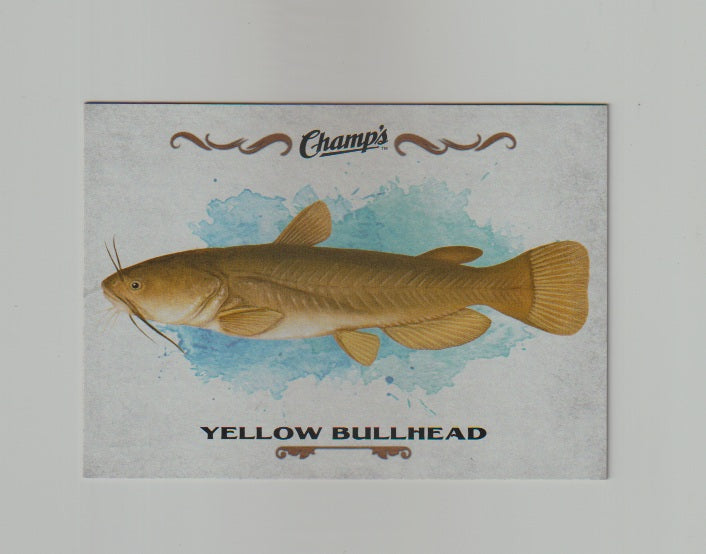 2015-16 Upper Deck Champs Fish #F-30 Yellow Bullhead