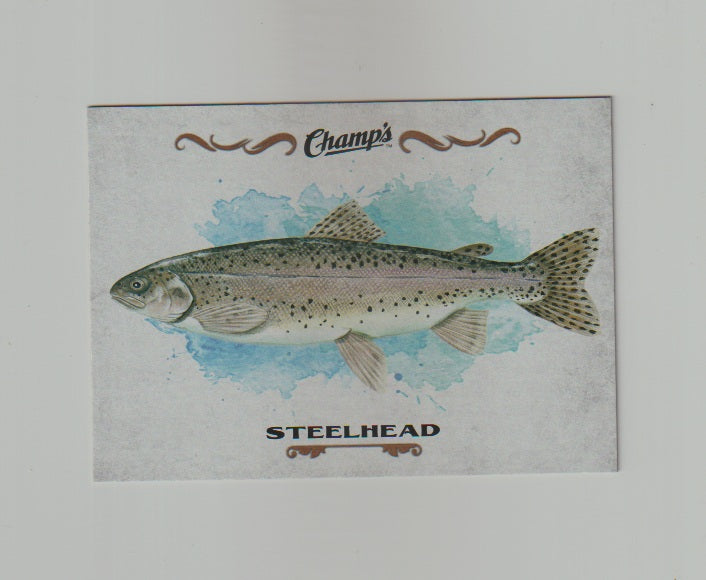 2015-16 Upper Deck Champs Fish #F-3 Steelhead