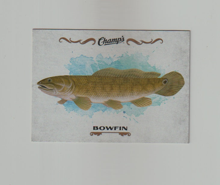 2015-16 Upper Deck Champs Fish #F-4 Bowfin