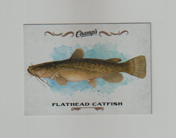 2015-16 Upper Deck Champs Fish #F-6 Flathead Catfish