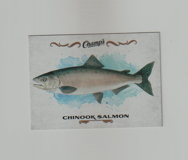 2015-16 Upper Deck Champs Fish #F-7 Chinook Salmon